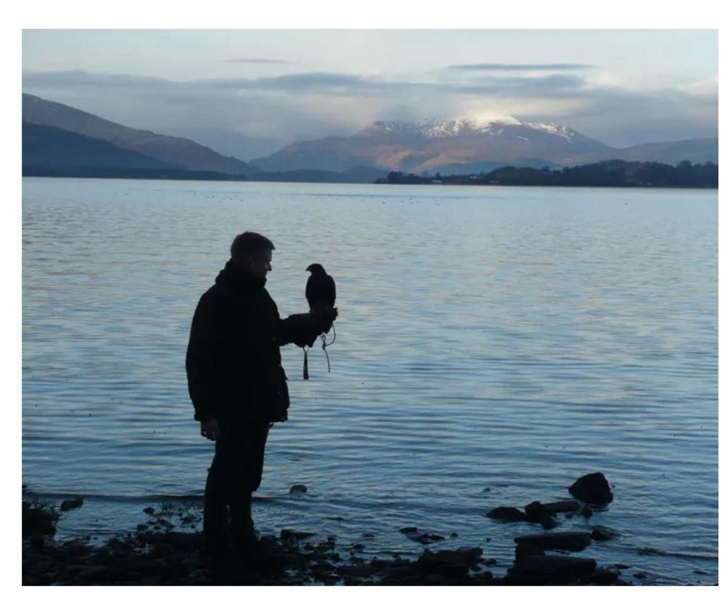 Lodge 14, Cameron House Lodges, Loch Lomond Alexandria Buitenkant foto